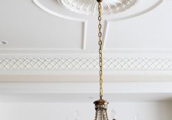 light with ceiling medallion detail and architectural features